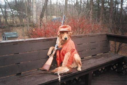 Hunter Gets Shot By Dog