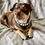 Thumbnail: Pastel Rainbow Necklace