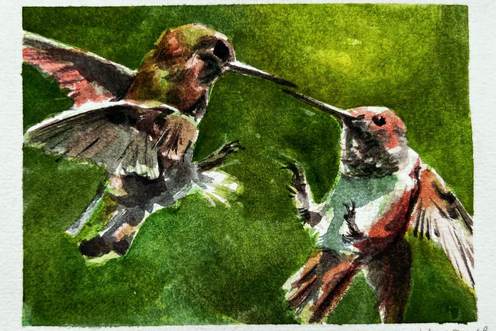 Hummingbirds
