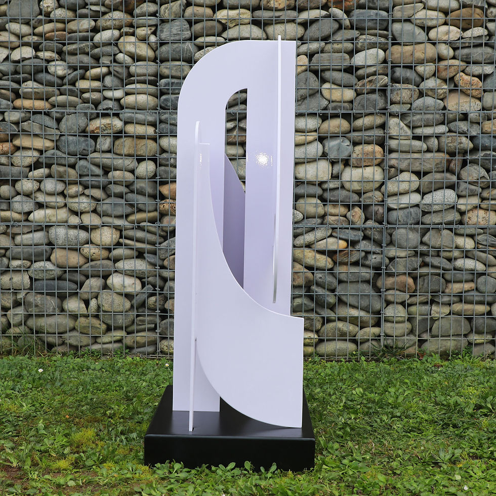 Miniature : Nicolas Dubreuille, "Ref S384"
