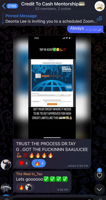 21st Century Business Consulting Mentorship screenshots/testimonials