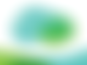 Caitlin Gutekunst talks about Creativity, Inc., the Company of the Week for the Bloom Report