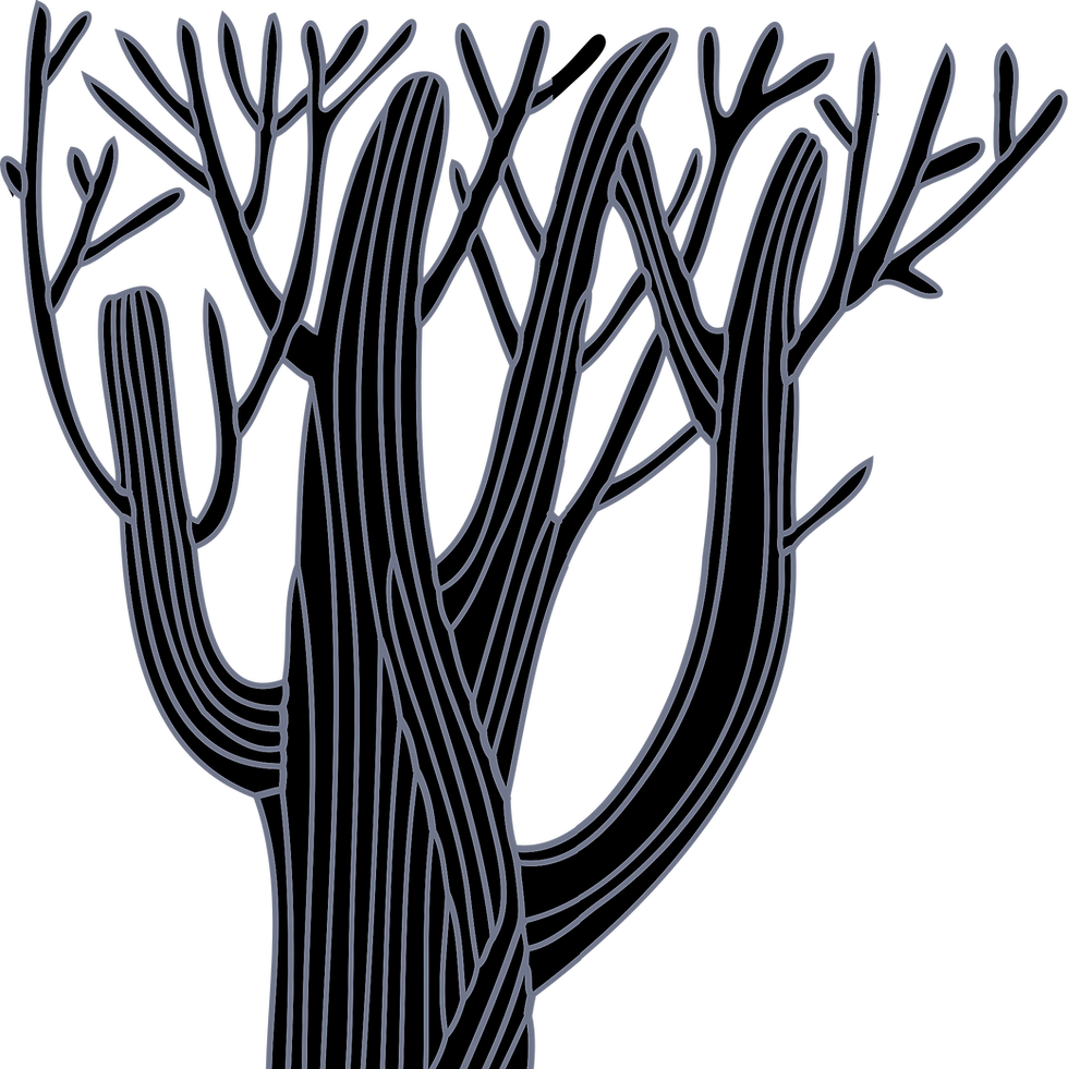 Arbre  