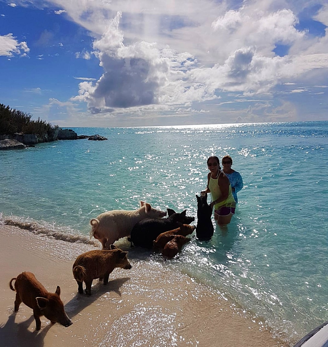 Boat Rentals and Tours Long Island, Bahamas