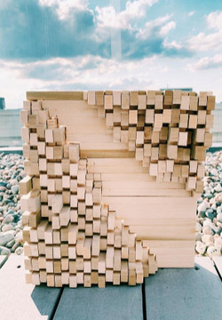 Texture Relief Wood Model