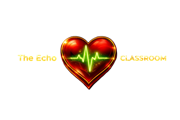 Transparent Logo The Echo Classroom.png