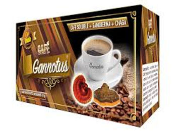 Gannotus