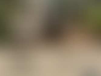 MOTO D'AVENTURE : 6 JOURS AU QUÉBEC TOUT INCLUS