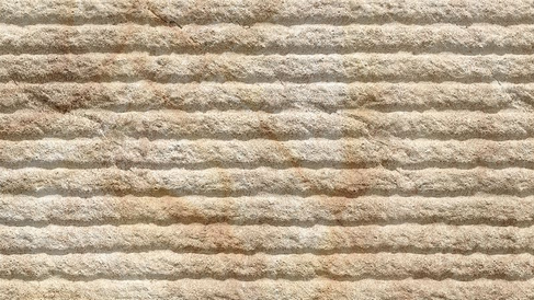 oman snow velvet yellow