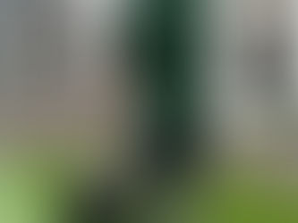 💼🌿 Materiales necesarios para instalar césped artificial