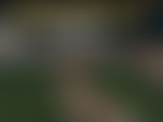 Cómo limpiar tu Césped Artificial si tienes mascotas.