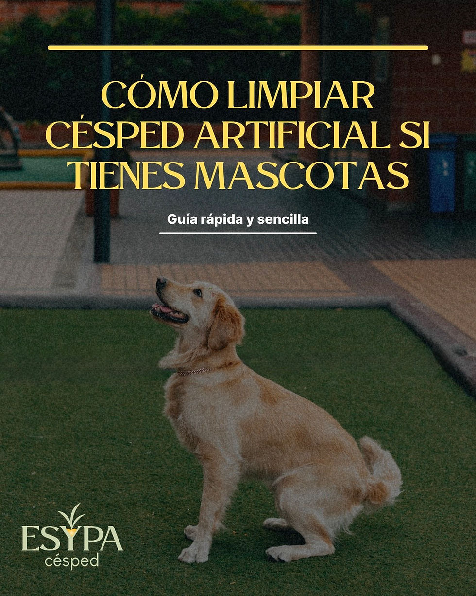Cómo limpiar tu Césped Artificial si tienes mascotas.