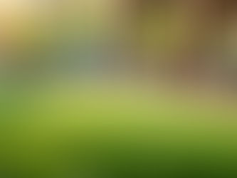 🌿 Comprar césped artificial: todo lo que debes saber antes de elegir