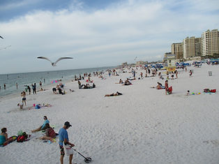 USA Homestays Miller's English School  ミラーズ·イングリッシュ·スクール  福岡県 新宮町  全年齢対象の英会話教室  福岡県糟屋郡新宮町緑ケ浜1-33-10の全年齢対象の英会話教室  電話090-6427-3