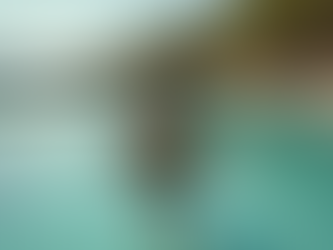 Éveillez votre esprit avec nos cours de yoga viniyoga