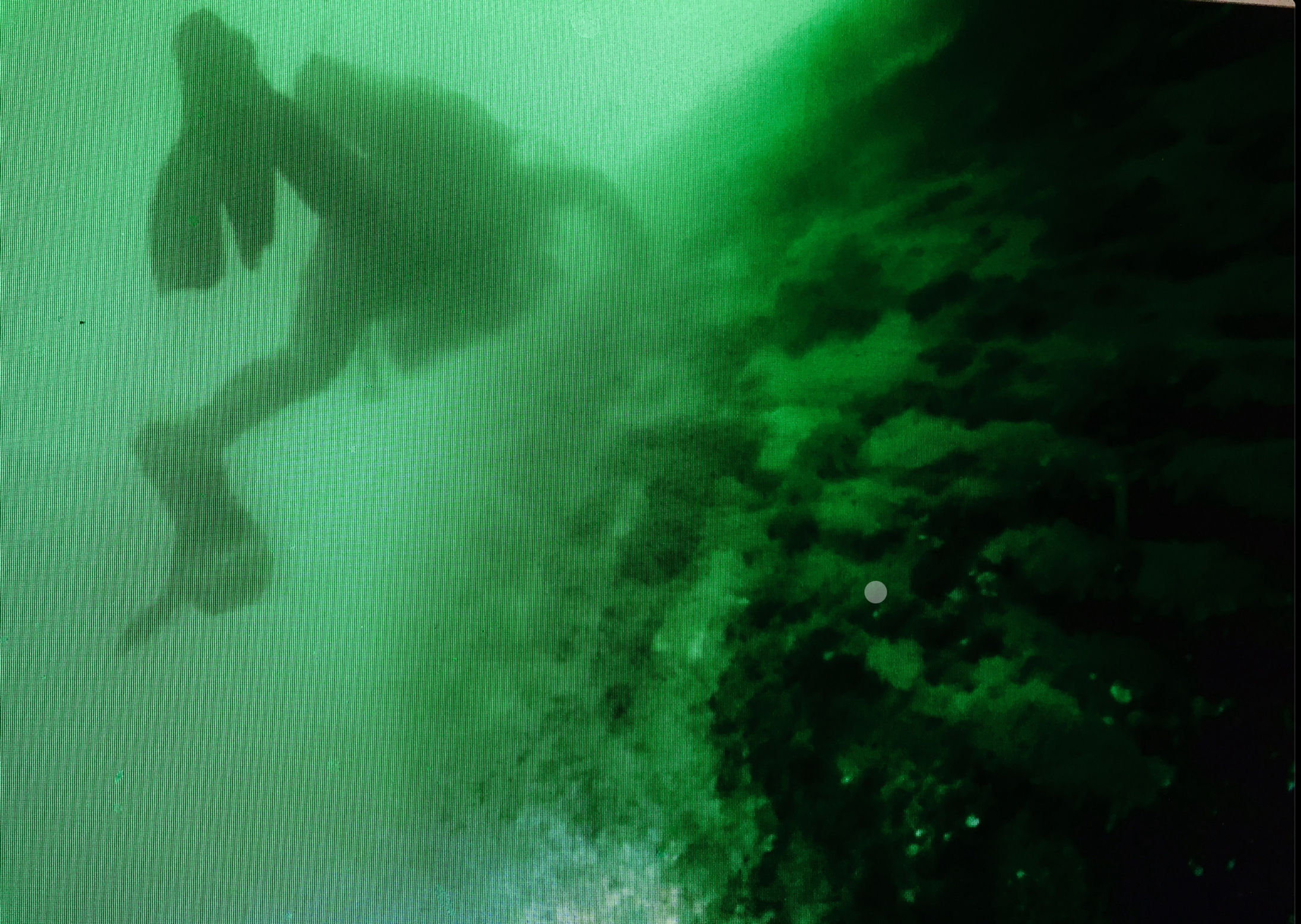 Dive along a sunken hull of a ship in the St. Lawrence 