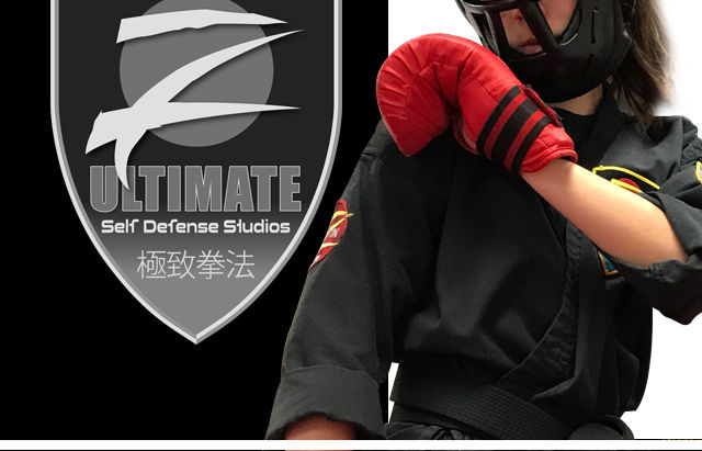 Z Ultimate Martial Arts Tournaments, an Unforgettable Experience