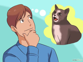 Como Se Comunicar com seu Gato