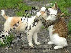 Dia do amor