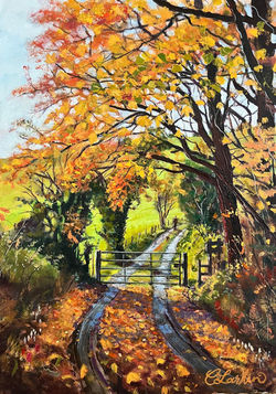 Autumn Amble, Movanagher Forest