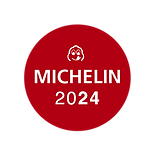 LOGO-TF-WEB-Michelin-24.png