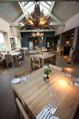 New gastropub with extensive enlargement and a hanging wooden fire.