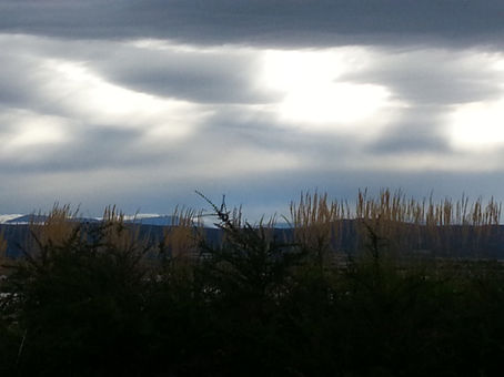 The Price of Silence: Why Mesa County Needs You on the Ballot