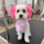 Mochi