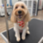 Winnie