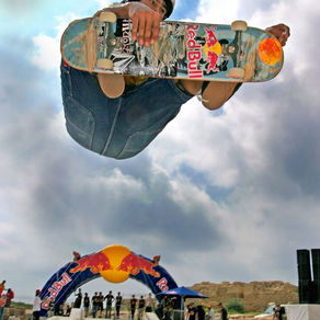 תחרות ה-Redbull Street Dogs