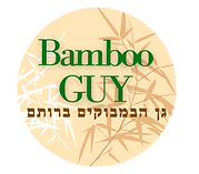 Bamboo (3)_edited.png