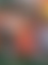 Fall Fun for Everyone