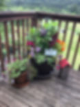IMG_0070.jpeg