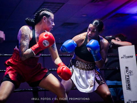 El Tigre Promotions: Harrison vs Parker