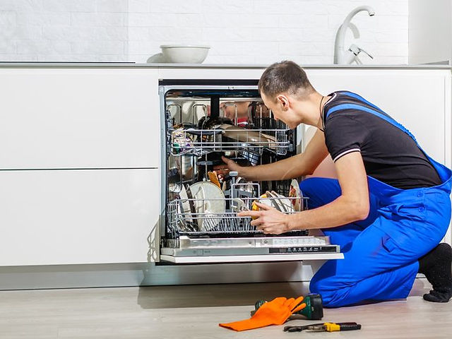 Dishwasher repair