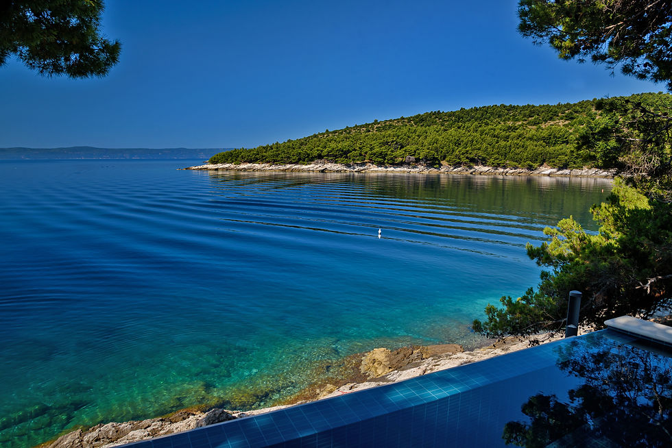 THE AMZING BAY