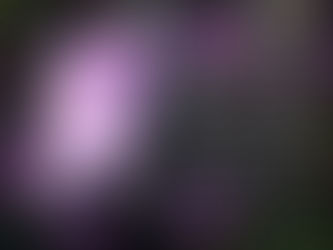 (436) 「灵粮主题 TODAY’s Topic」：侍奉要显出善行的榜样  Serve as An Example of Good Deeds