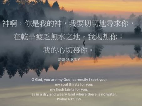 (471) 「灵粮主题 TODAY’s Topic」：祷告珍惜神的慈爱与保佑  Pray and Cherish God's Love and Blessings
