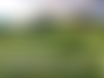 (018) 今日灵粮 Spiritual FOOD TODAY: