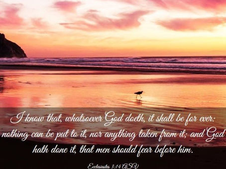 (012) 今日灵粮 Spiritual FOOD TODAY: