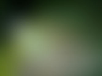 (493) 「灵粮主题 TODAY’s Topic」:凡热切等候神的人是有福的 Blessed Are Those Who Wait Eagerly for God