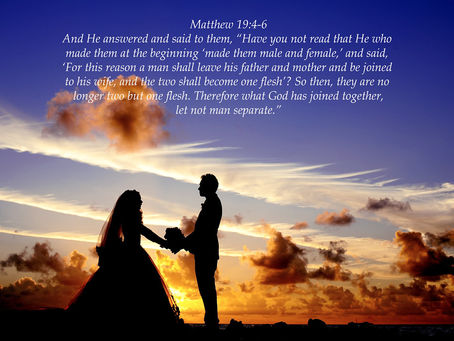 (422) 「灵粮主题 TODAY’s Topic」：在各种关系中竭力追求忠心  Strive for Loyalty in All Relationships 