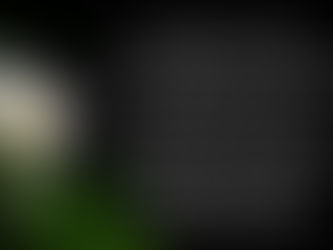 (507) 「灵粮主题 TODAY’s Topic」：要读将圣经的教导贯彻到生活中 Read and Apply the Teachings of the Bible into Our Lives
