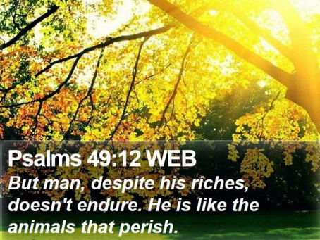 (528) 「灵粮主题 TODAY’s Topic」不要忽视金钱买不到的更重要的东西 Do Not overlook the More Important Things Money Cannot Buy