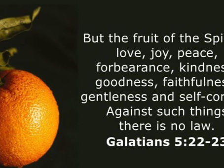 (010) 今日灵粮 Spiritual FOOD TODAY: