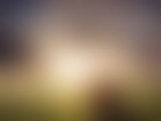 (271) 「今日灵粮」：Forwarded from Whisper Web on Facebook 转载 03. 19. 2021: