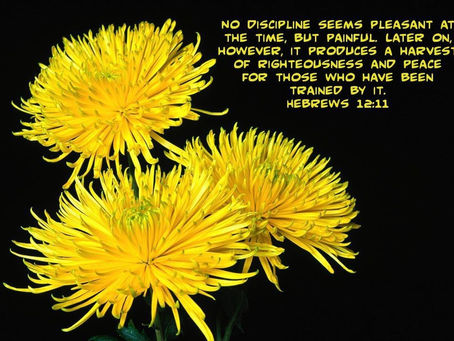 (344) 「今日灵粮 SPIRITUAL FOOD TODAY」:Fwd from Whisper Web on Facebook 转载 06. 30. 2021: