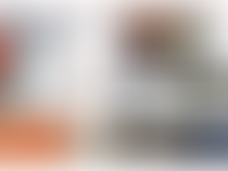 The Bears Scrapbook — Week 2