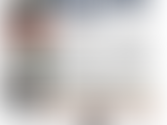 Bears scrapbook — Rookie sensations