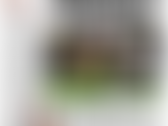 Disrespecting the Bears-Packers rivalry